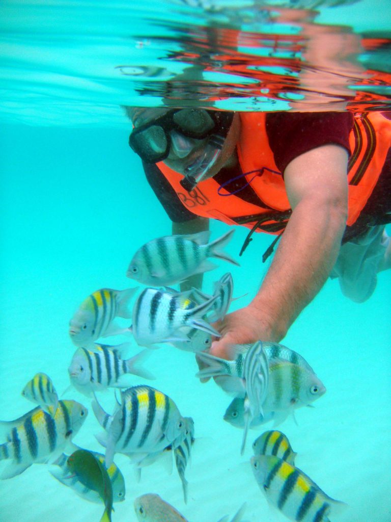 Snorkeling package redang island
